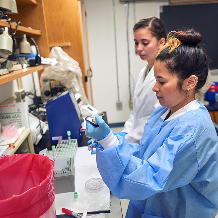 University of West Florida Medical Laboratory Sciences students work in the lab. 